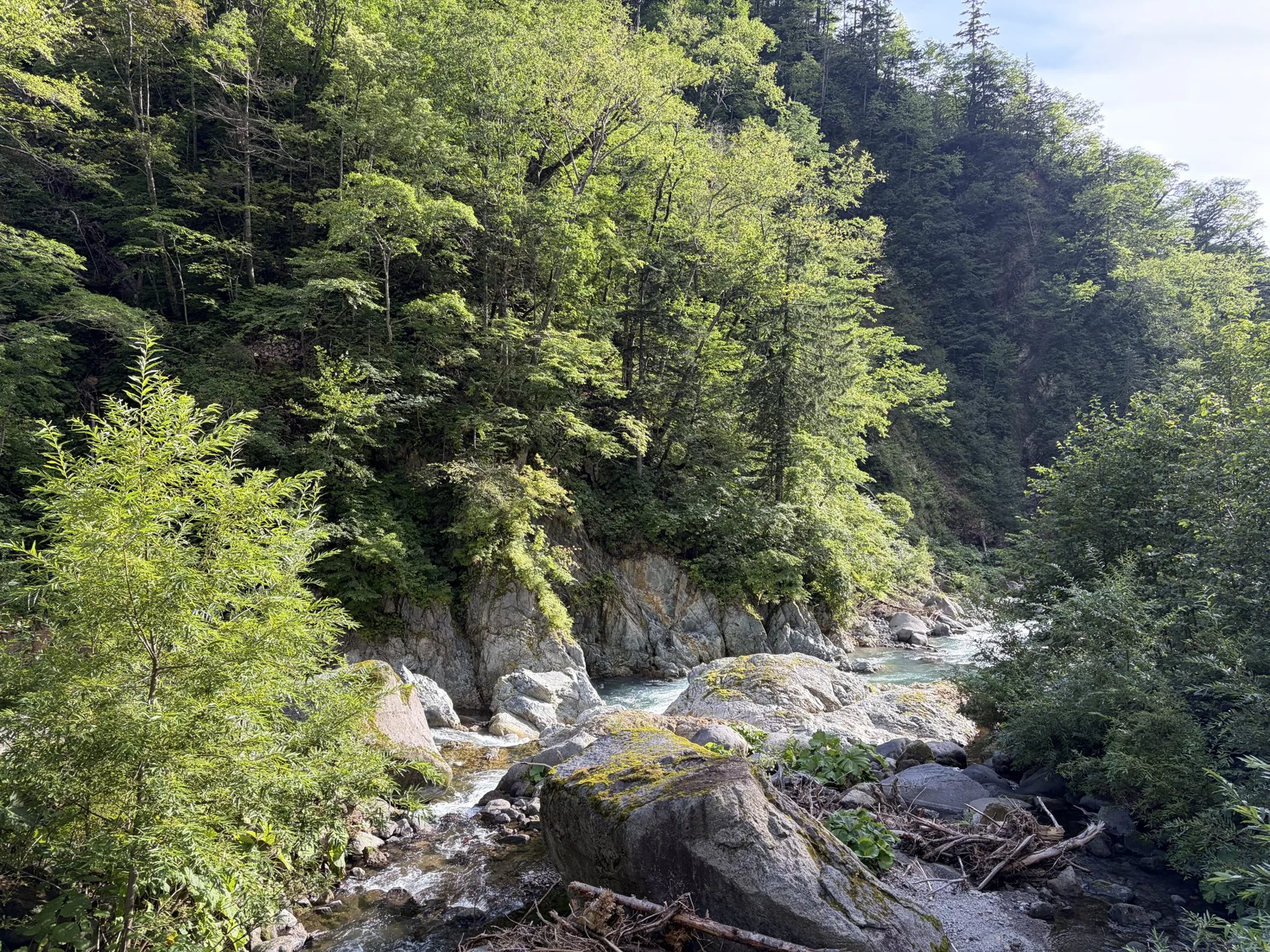 Klarer Wasserlauf im Wald